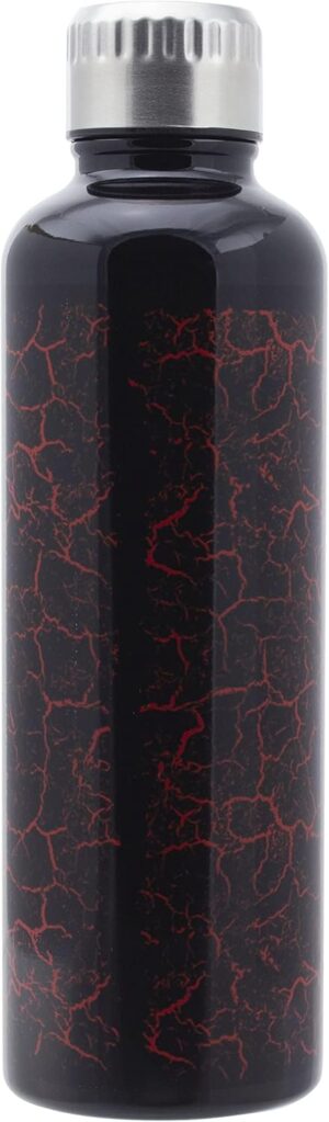 Gourde Stranger Things Hellfire Club en acier inoxydable 500 ml
